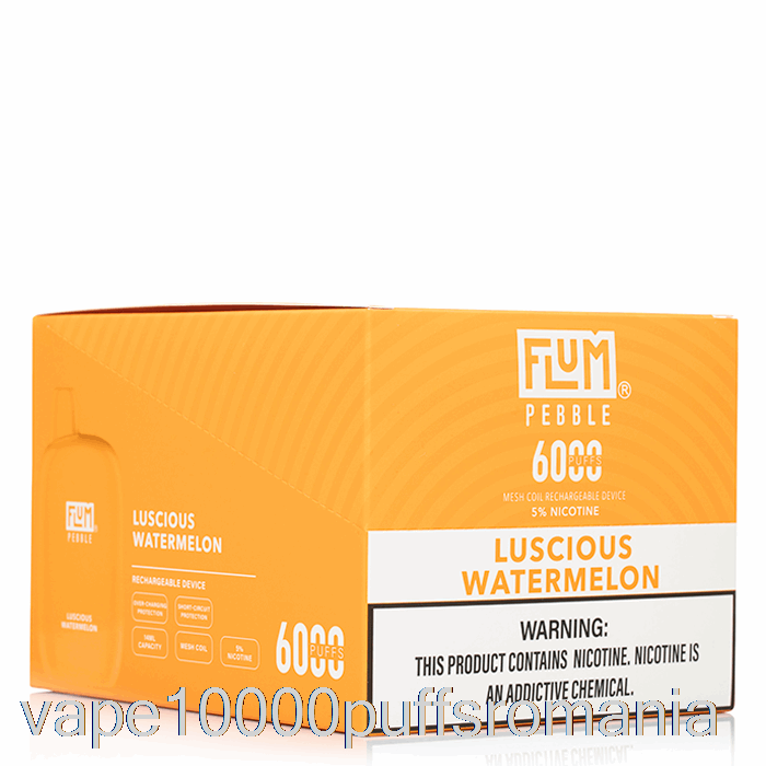 Vape Romania [10-pachet] Flum Pebble 6000 De Unica Folosinta